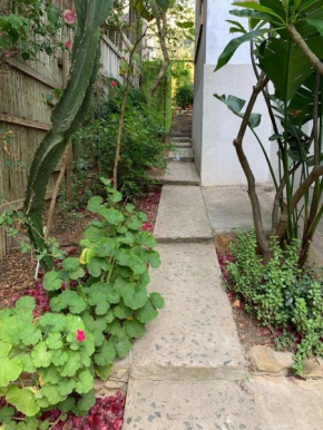 Garden Studio